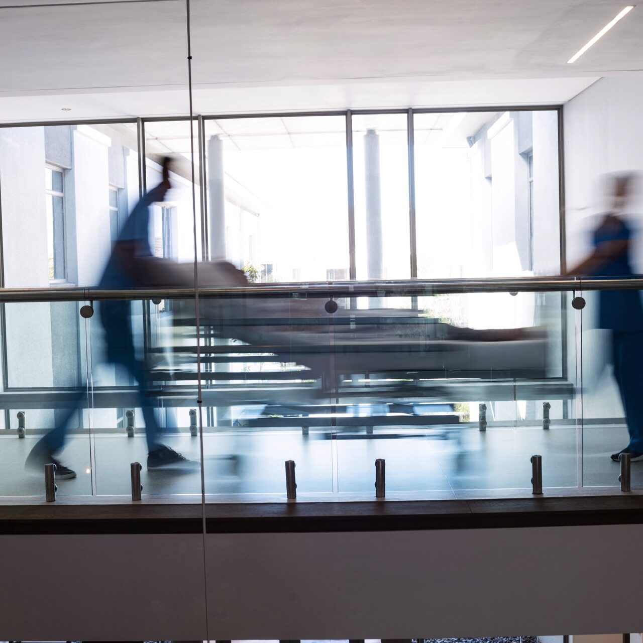 Dott-Andrea-Vecchi-img-25 Dott-Andrea-Vecchi-img-25